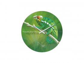 Часы настенные Nicole Time NT503 в Эльдикане - ehldikan.mebel-nsk.ru | фото